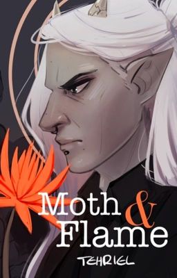 Moth and Flame [Dew x Reader] {Complete} cover