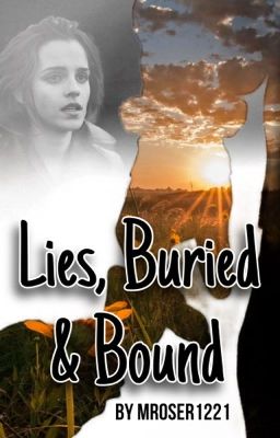 Lies, Buried and Bound - A Dramione Story cover