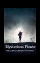 Mysterious Flower 🌺 by OfficialAuthor4