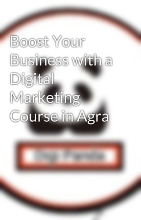 Boost Your Business with a Digital Marketing Course in Agra by NDMITB