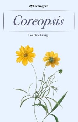 Coreopsis [Tweek x Craig] cover