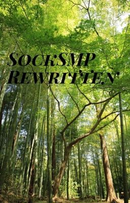 SockSMP Rewritten cover