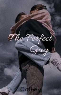 THE PERFECT GUY cover