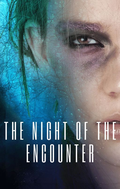 The Night of the Encounter by Carolinitastraser