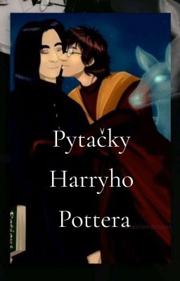 Pytačky Harryho Pottera cover