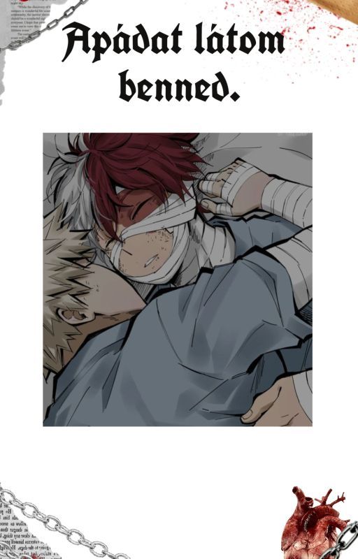 Apádat látom benned. (Todoroki x Bakugou) by l0v31sp41n_