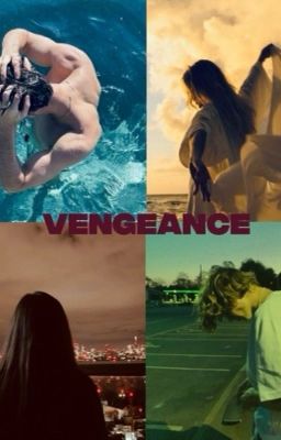 Vengeance  cover