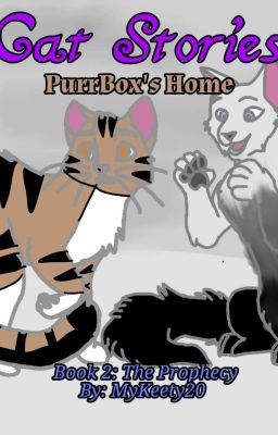 Cat Stories Series 1: PurrBox's Home Book 2 cover