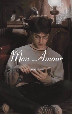 Mon Amour |  Harry Potter x Y/n Black cover