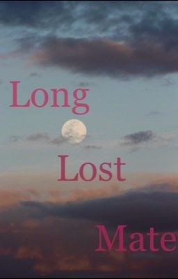 Long Lost Mate cover