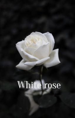 WHITE ROSE: Coriolanus Snow cover