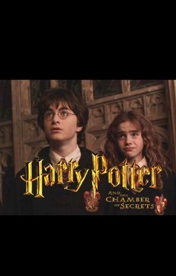 Harry and Hermione and the Chamber of Secrets cover