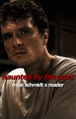 haunted by the past | mike schmidt x reader. cover