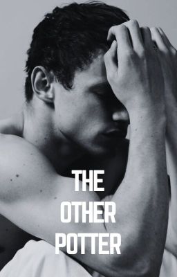 The Other Potter cover