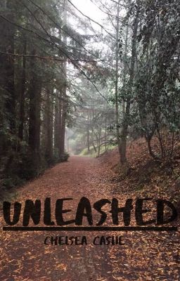 Unleashed cover