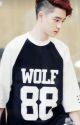 A little Wolf (Kyungsoo) by Lilalu05