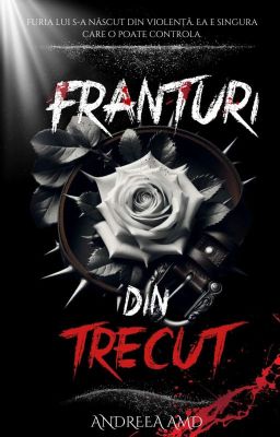 Frânturi Din Trecut (Fosta 𝐑𝐚𝐢𝐧𝐒𝐭𝐨𝐫𝐦 ) cover