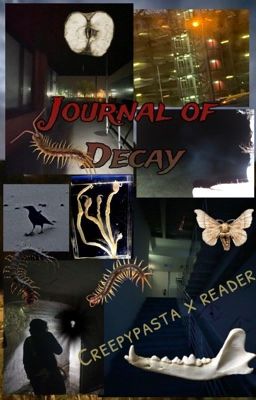 Journal of Decay (Creepypasta x reader) cover