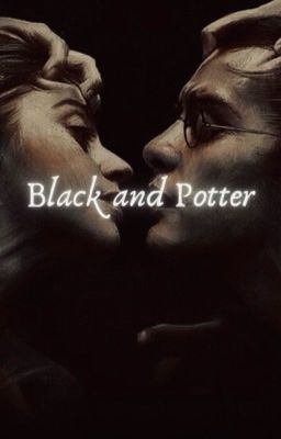 Black and Potter | H. Potter cover