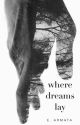 Where Dreams Lay by ambersaje