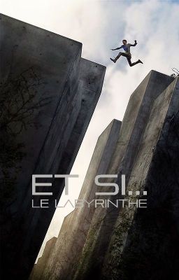 Et si... | Le Labyrinthe cover