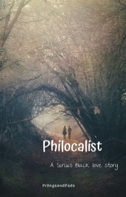 Philocalist (Sirius Black love story) cover