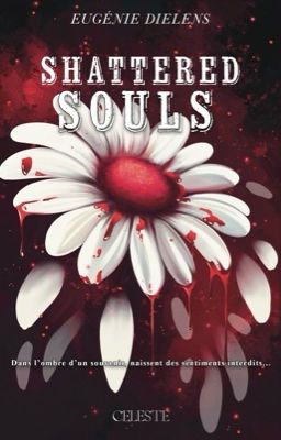 Shattered Souls - Tome 2  cover