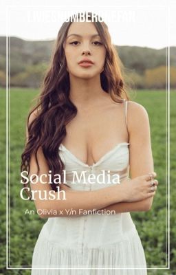 Social Media Crush cover