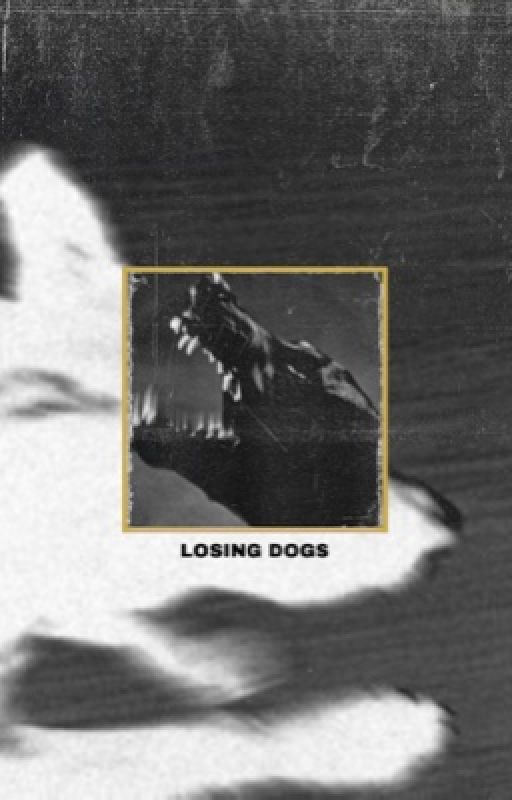 Bet on Losing Dogs / The Hunger Games by bIodrena