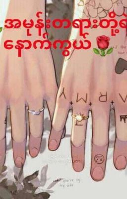 🌹အမုန်းတရားတို့ရဲ့နောက်ကွယ်🌹(Completed) cover