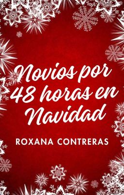 NOVIOS POR 48 HORAS EN NAVIDAD cover