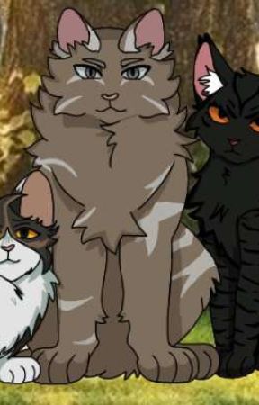 Warrior cats:Rise of The Sun: Crashing Thunder by 4everonlyJiji