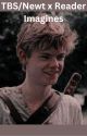 Thomas Brodie-Sangter/Newt x Reader Imagines by Lexi_Bexi14