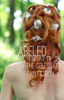 Labeled (A The Selection Fanfiction) cover