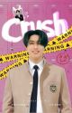 CRUSH | minsung by miiminsung