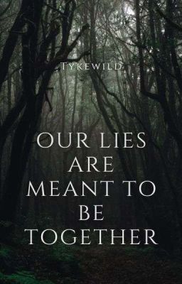 Our lies are meant to be together  cover