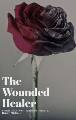 The Wounded Healer cover