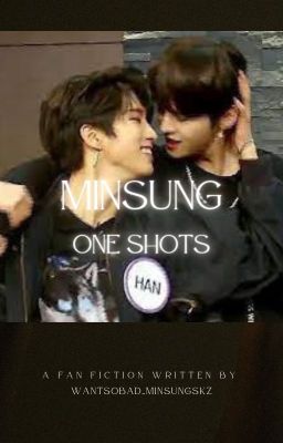 Minsung - Oneshots (READ DESCRIPTION) cover