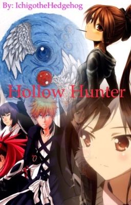 Hollow Hunter: a Bleach Fan Fiction cover