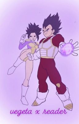 (vegeta x fem reader) a fight to remember cover