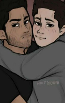 sterek cover