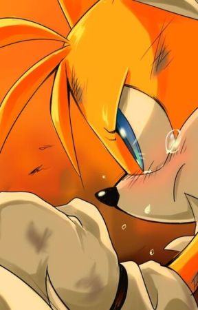 Gears And Tails (Tails x Reader) by Francis_FanFictions