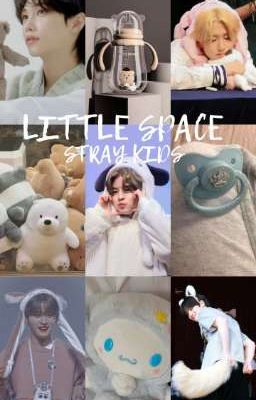 Little space skz  cover