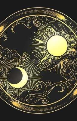 sun from the beginning  cover