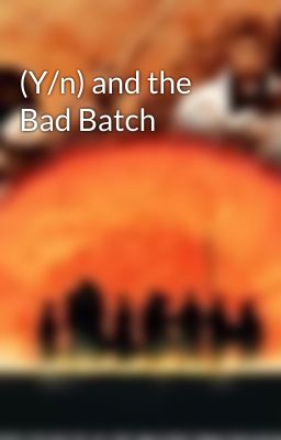 (Y/n) and the Bad Batch cover