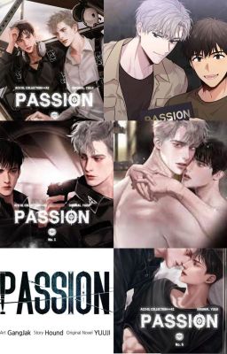 PASSION 열정 NOVELA cover