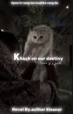 Knock on our destiny  cover