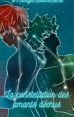 La constellation des amants déchus cover