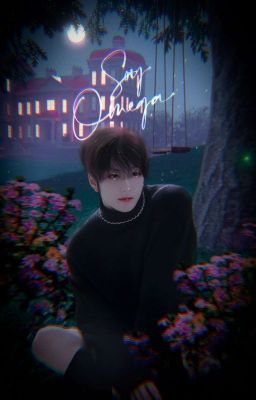 𝐒𝐎𝐘 𝐎𝐌𝐄𝐆𝐀 𔓕 sungwon. cover