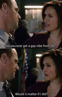 The Love of Olivia Benson cover